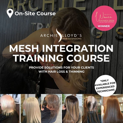 Mesh Integration On-Site Course