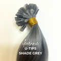 Clearance Shade Grey U-Tips/ K-Tips Hair Extensions