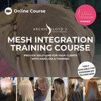 Certified Online Mesh Integration Course