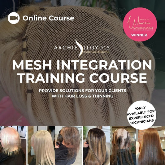 Mesh Integration Online Course