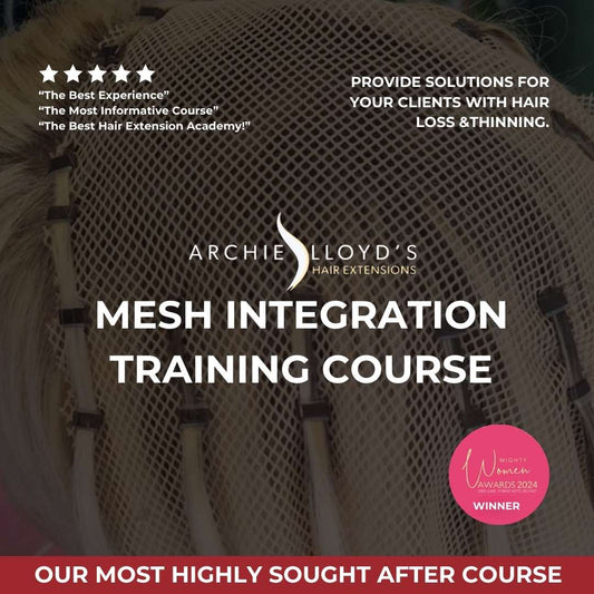 Mesh Integration On-Site Course