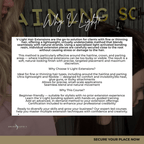 Curso presencial de extensiones de cabello Viral V-Light